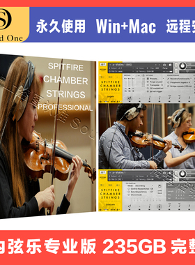 Spitfire Chamber Strings Professional 喷火室内弦乐康泰克音源