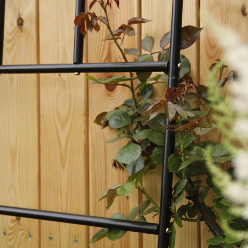 花架爬藤架绿萝月季花架插地蟹y爪兰植物网格架庭院阳台植物攀爬