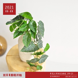 九思仿真绿植壁挂藤叶垂吊兰藤w蔓植物仙洞龟背室内仿生装饰品F64