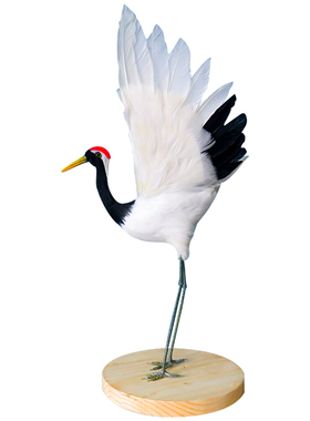 热卖仿真丹c顶鹤羽毛模型摆件仙鹤盆景橱窗创意装饰田园风手工艺