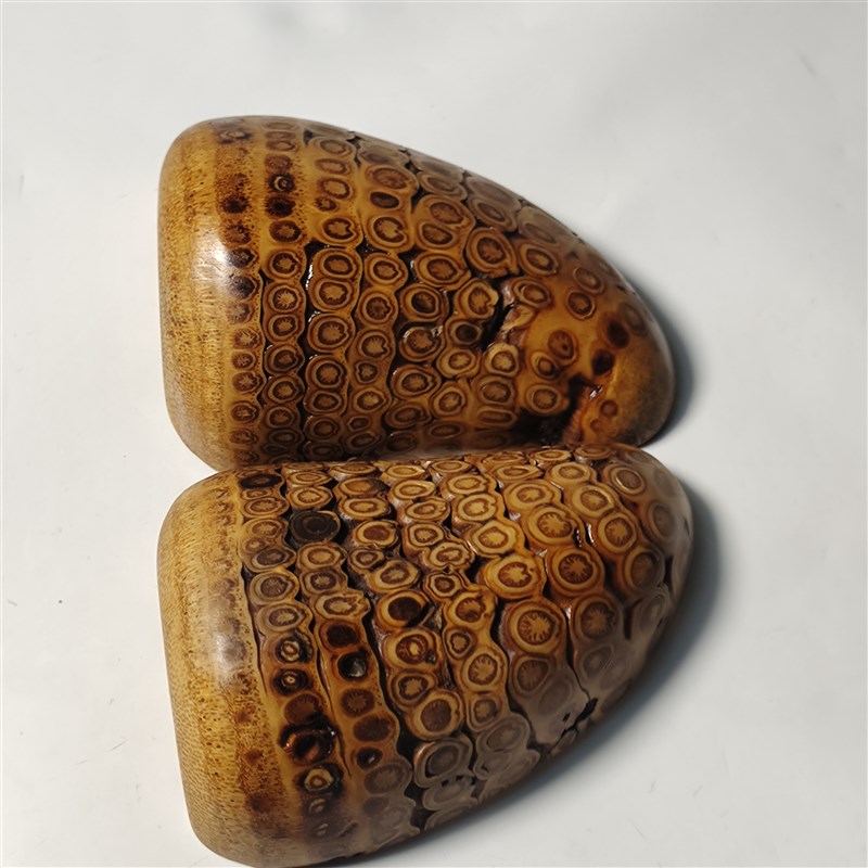 竹根雕随行手把件卦卜圣杯一把抓收藏纯手工精T品一物一拍文玩