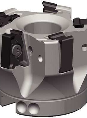 威迪亚WIDIA 双面方肩铣刀VSM490D025Z02A25XN15L100