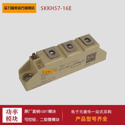 可控硅SKKH57/12E SKKH57/16E SKKH57/20E H4 SKKH57/22E H4