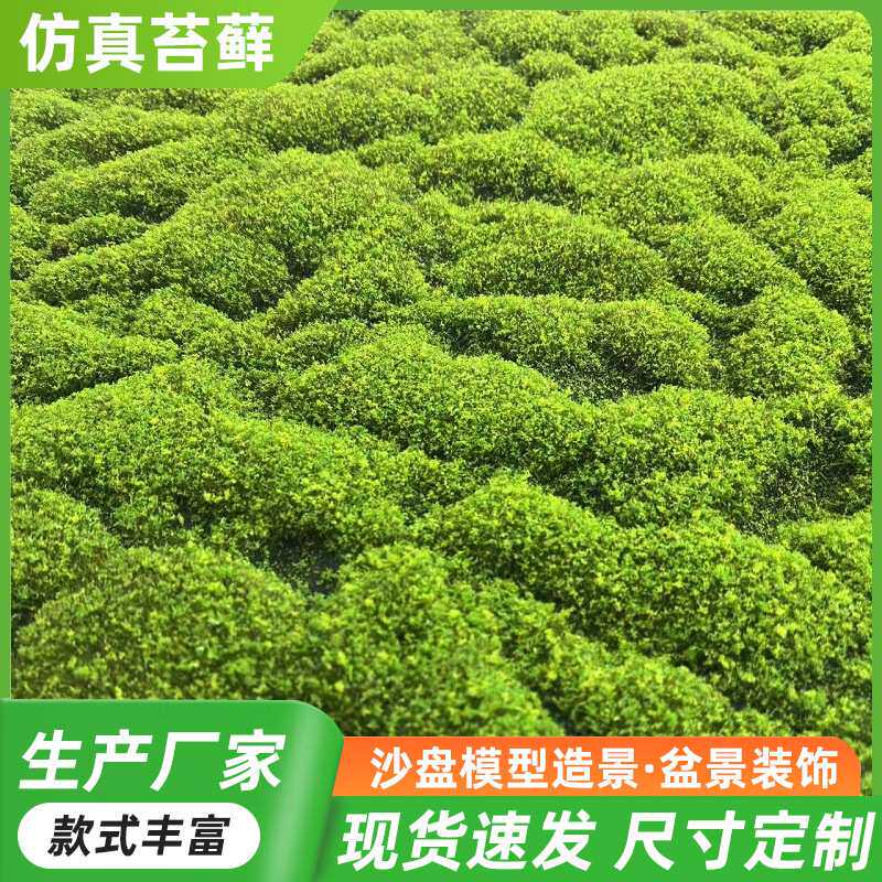 仿真青苔草皮人工草坪塑料假苔藓植物墙面装饰绿植墙橱窗造景创意