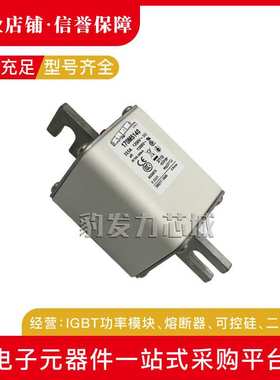 170M5145 170M5146 170M5147 170M5148 170M5149 170M5150熔断器