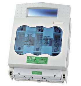 原装 上海三电气隔离开关熔断器组SSGR2-100