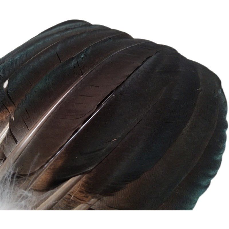 复古黑孔雀d翅膀羽毛扇子端午送礼外人国人中国传统工艺品扇鹅毛,家居饰品,工艺扇/团扇/喜扇/折扇,淘宝优惠券,粉丝福利购,淘宝优惠卷