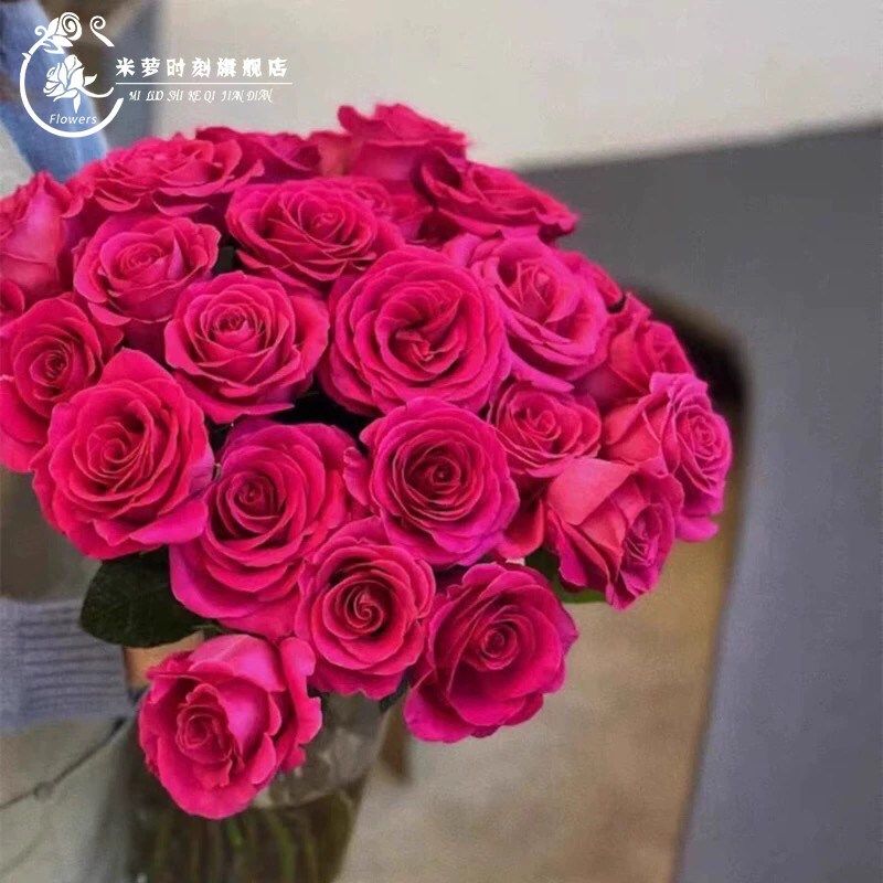 弗罗伊德月季花四季浓香灌木大花B苗阳台盆栽庭院地栽切花玫瑰欧,鲜花速递/花卉仿真/绿植园艺,月季/蔷薇/玫瑰,淘宝优惠券,粉丝福利购,淘宝优惠卷