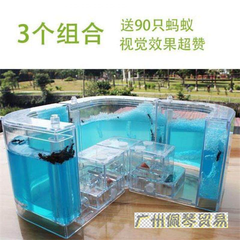 蚂蚁生态箱豪华宠物蚂蚁工坊蚂蚁别墅多个家园串联互通送蚂蚁