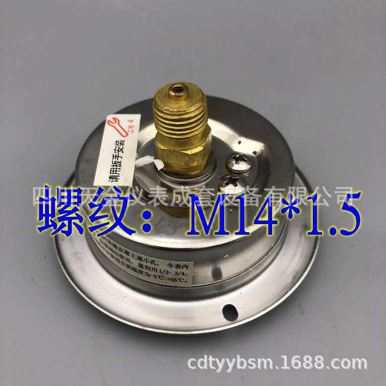 红旗YTN-60ZT轴向带边耐震压力表抗震防震真空油压液压表YN-60ZT