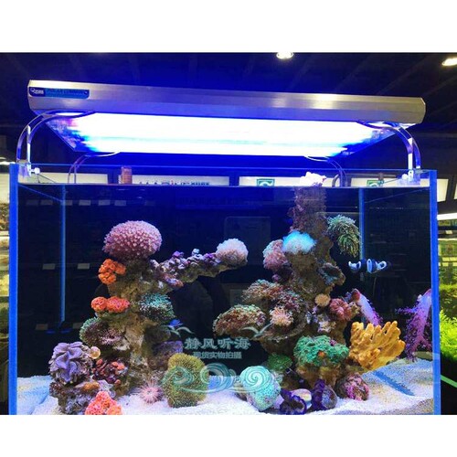 德国KZ灯管水族箱鱼缸led灯管T5HO24/39/54/80W蓝斐济紫蓝白防水