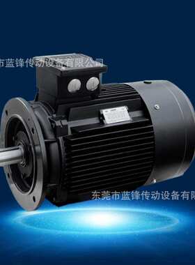 霍尔HOYER三相异步低压电机TEFV鼠笼400V Y – Hoyer IE2 电机  3