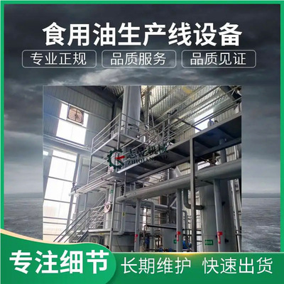 生产山桐籽油厂整套设备 油沙豆榨油精炼机 食用油塑化剂降解设备