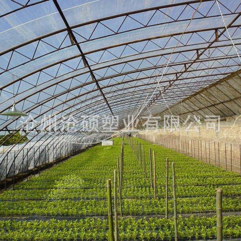 消雾流滴膜白色透明PE聚乙烯塑料薄膜加厚农膜农用大棚膜塑料膜