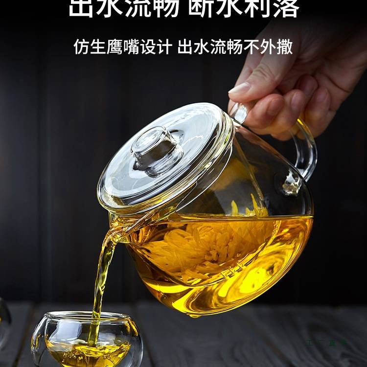 玻璃茶壶单壶耐高温加厚茶水分离2025新款家用高硼硅小泡茶壶茶具