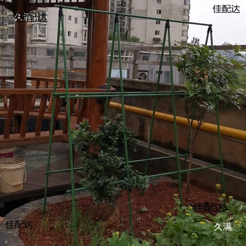 黄瓜架豆角丝瓜葡萄架百香果苦瓜番茄月季爬藤支架户外庭院架子