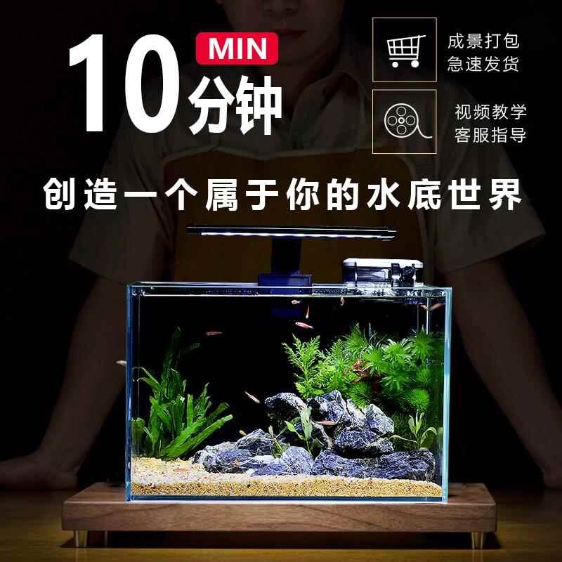 鱼缸客厅小型生态造景全套桌上小鱼缸桌面电视柜旁家用免换水超白