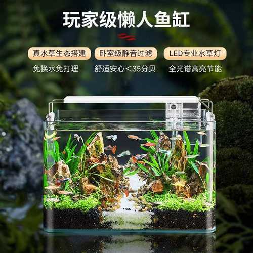 鱼缸造景全套热弯玻璃缸客厅小型桌面免换水生态草缸迷你金鱼缸