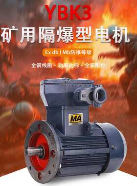 新大力YBK3矿用防爆电机B5立式380/660/1140V铸铁钢板机座ExDIMb