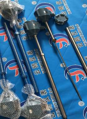 WRE2-430/WRM-330G热电偶WRE-82/WRE-430/WRE-120套管式热电偶