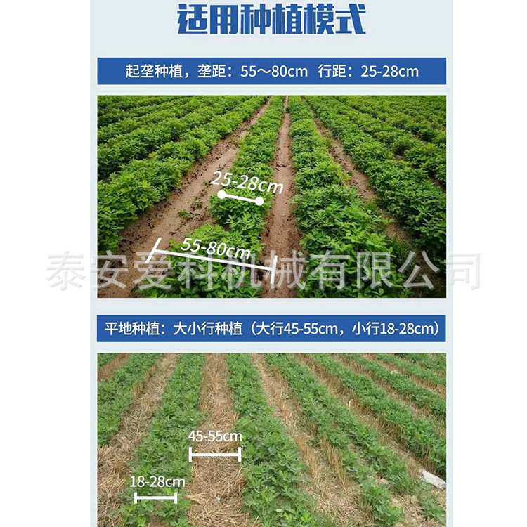 链条式花生收获机四轮车带起垄种植大蒜胡萝卜收获侧面摆放起果机
