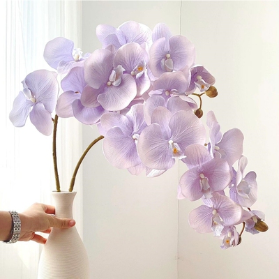 单支档蝴蝶兰仿真手感假摆设酒店卧室装饰兰干