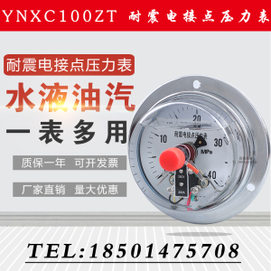 上海正宝 杭州东亚 轴向耐电接点压力表