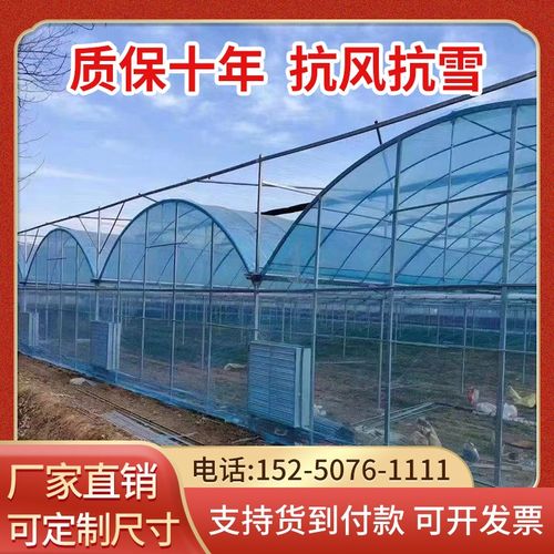 大棚钢管骨架椭圆管钢架温室苗木种植连体大棚连栋大棚养殖