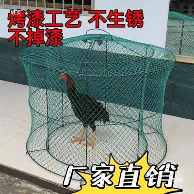 斗鸡罩笼斗鸡笼子送斗鸡碗斗鸡罩笼养斗鸡跑笼鸡笼折叠笼斗鸡鸡罩