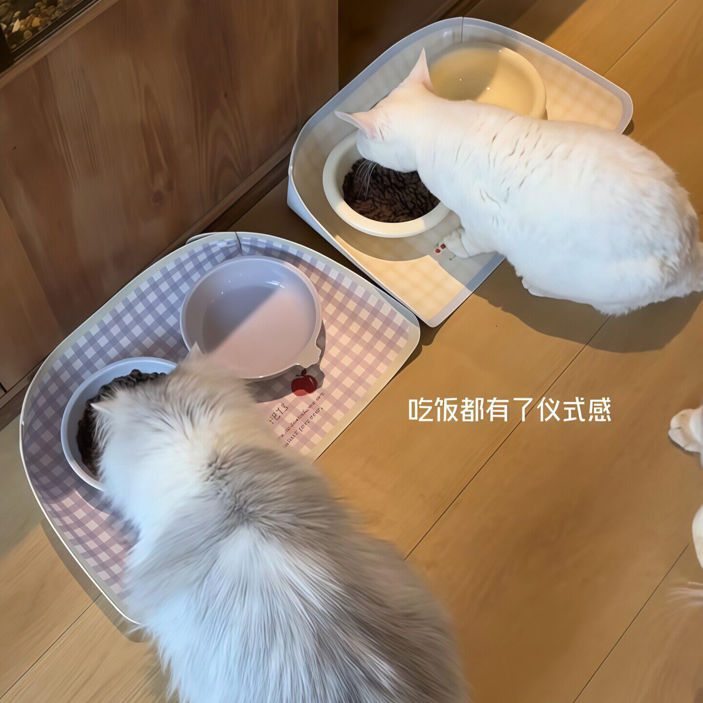 防水防滑加厚耐咬猫狗餐垫