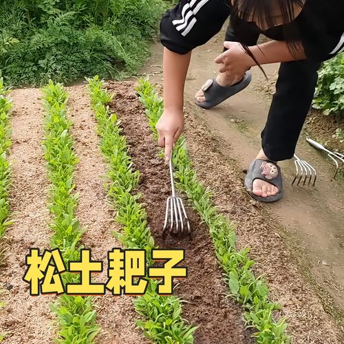 松土小耙子小型手握不锈钢齿耙农用种花翻地除草菜地农具赶海耙子