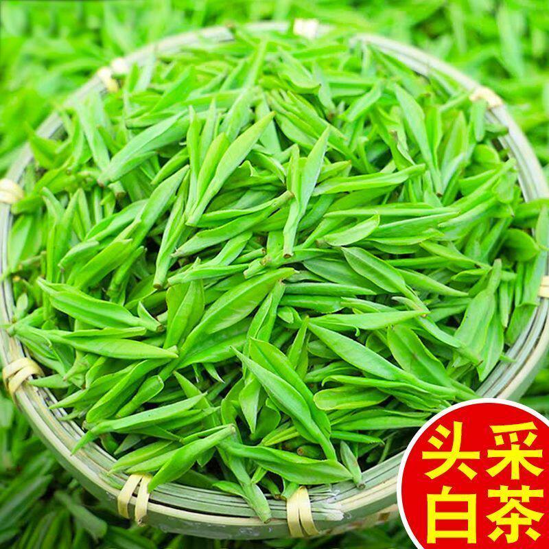 白茶2026新茶明前头采白茶正宗嫩芽高档高山绿茶叶浓香罐装