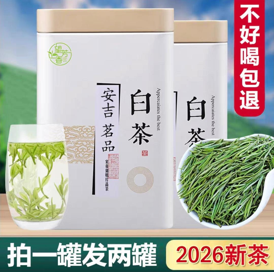 2026新茶白茶正宗安吉高山白茶罐装手采口粮绿茶雨前散装茶叶自饮