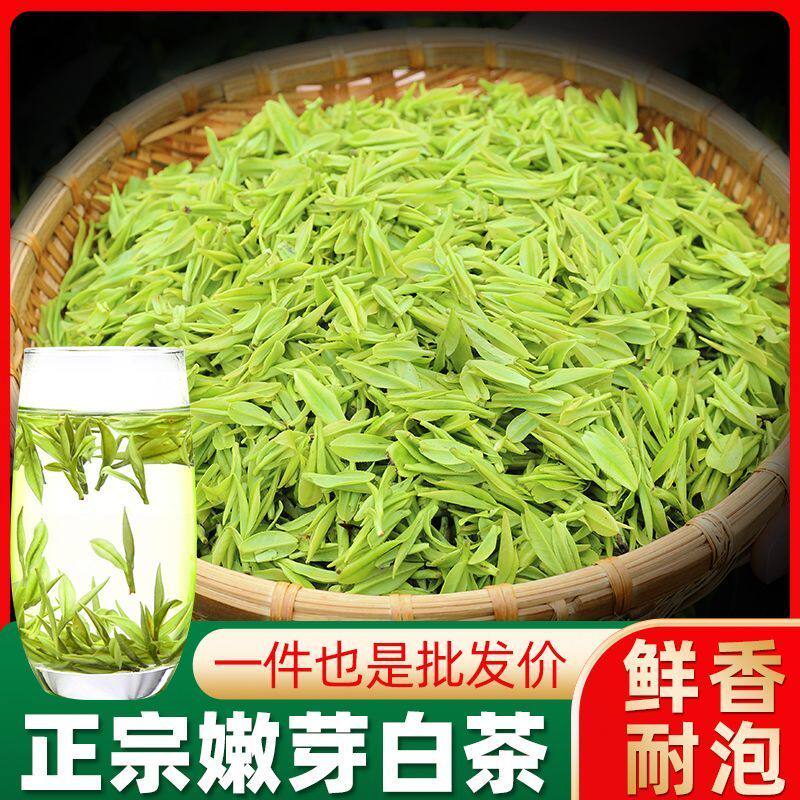 原产地高山2026新茶白茶明前高山安吉绿茶农直销珍惜茶叶春茶
