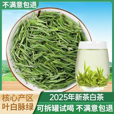 2025年新茶正宗安吉高山特级白茶