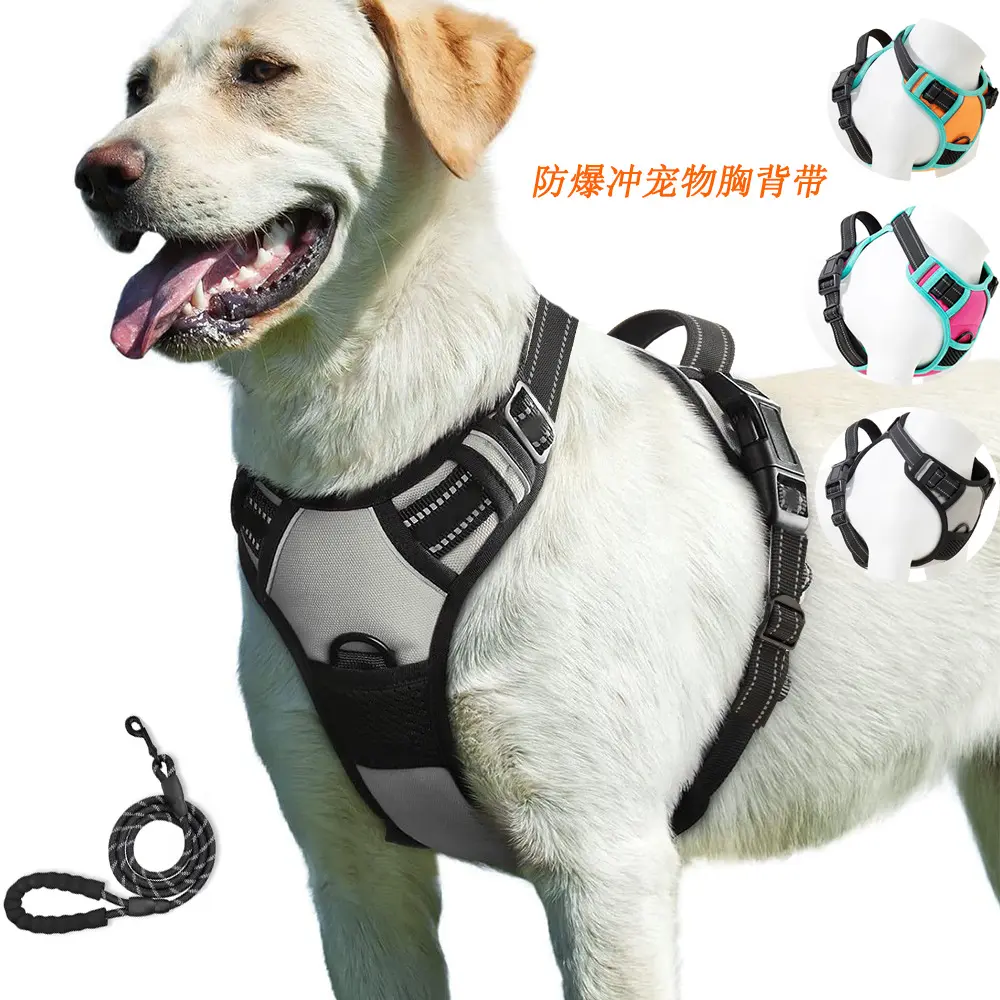 亚马逊爆款猫狗外出胸背带小大狗