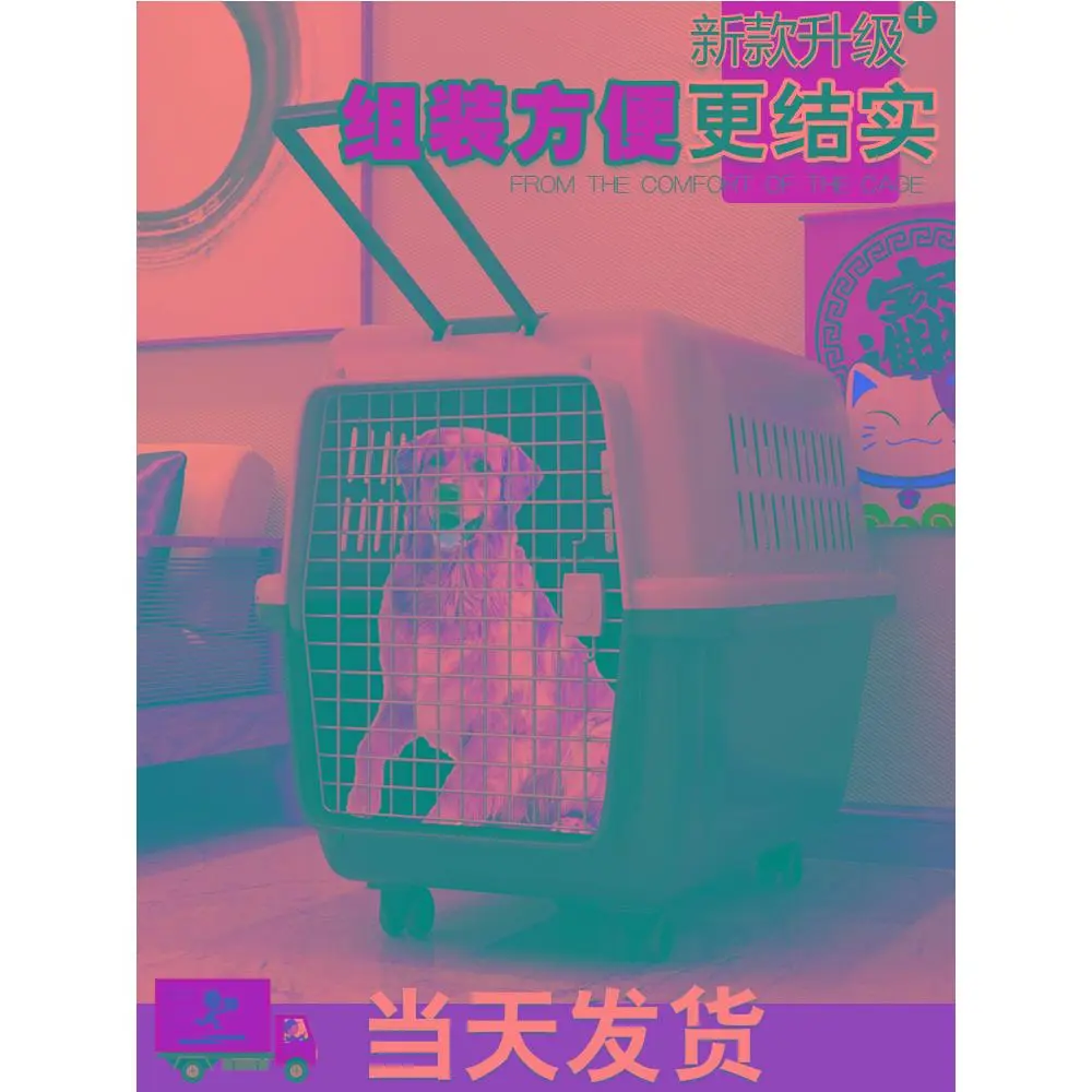 宠物航空箱狗狗托运小型中型大型