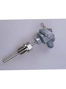 价可议-热电偶（L/I=850/700mm ，DN40,0～800℃型号:WRK1-430K