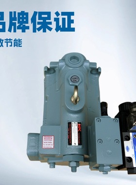 P16-C1-D3-F-R-01台湾旭宏柱塞泵P16-C0-D2-F-R-01