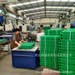 防滑塑料漏粪板 羊用双筋漏缝地板 养羊用塑料漏洞板