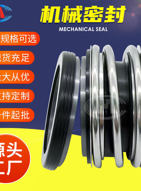 强制循环泵机封ZWQEMZ-700-B4-550集装式双端面机械密封