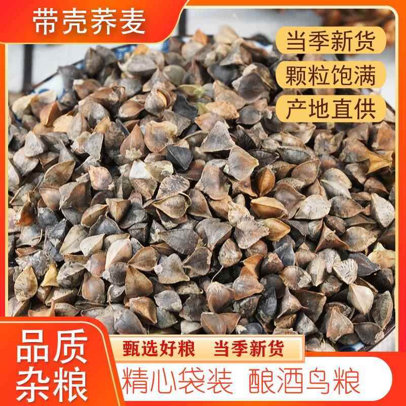 带壳荞麦 新乔麦带壳的三角麦1斤3斤5斤鸽子粮食仓鼠粮食鸟粮粗粮