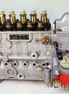 康明斯喷油泵3977571 6P193柴油泵总成5260271 6PH103燃油泵