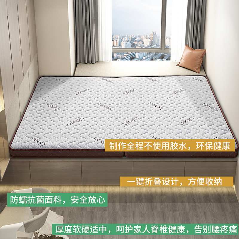 防螨3e环保椰棕床垫偏硬护脊乳胶床垫棕垫折叠飘窗垫榻榻米床垫子