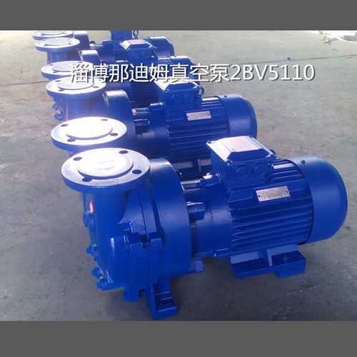 厂家直销2BV5110(4KW)铸铁不锈钢水环式真空泵 4KW不锈钢真空泵