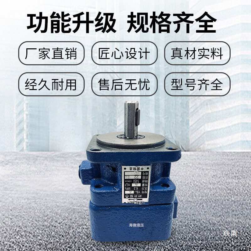 液压YB1叶片泵油泵YB1-6 YB1-10/16/4/20/25/40/50/80/100单双联