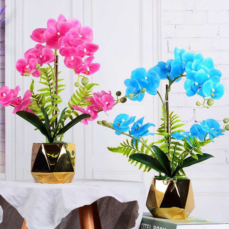 家居装饰客厅摆件仿真花蝴蝶兰盆栽套装花艺手感仿真植物假花盆景