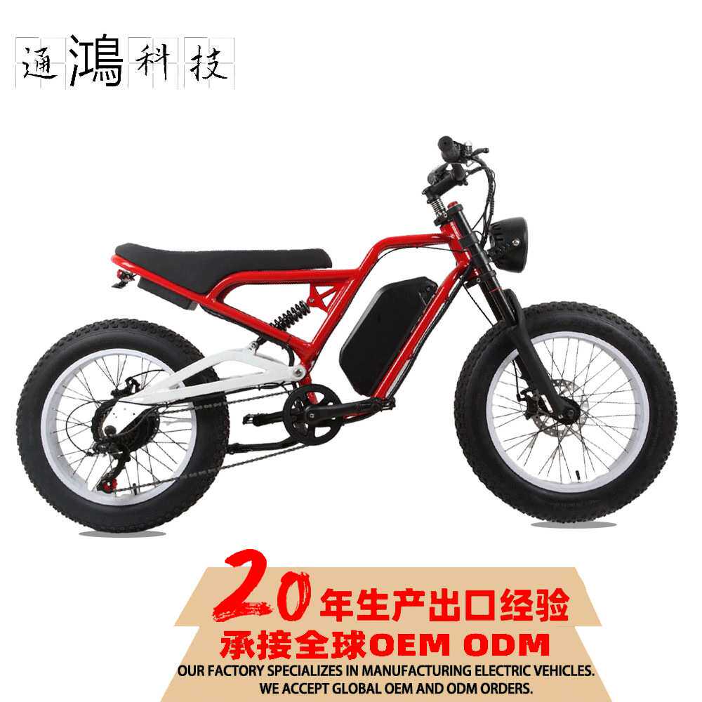 跨境48V500W雪地20寸自行车山地越野自行车仿摩款电动自行车