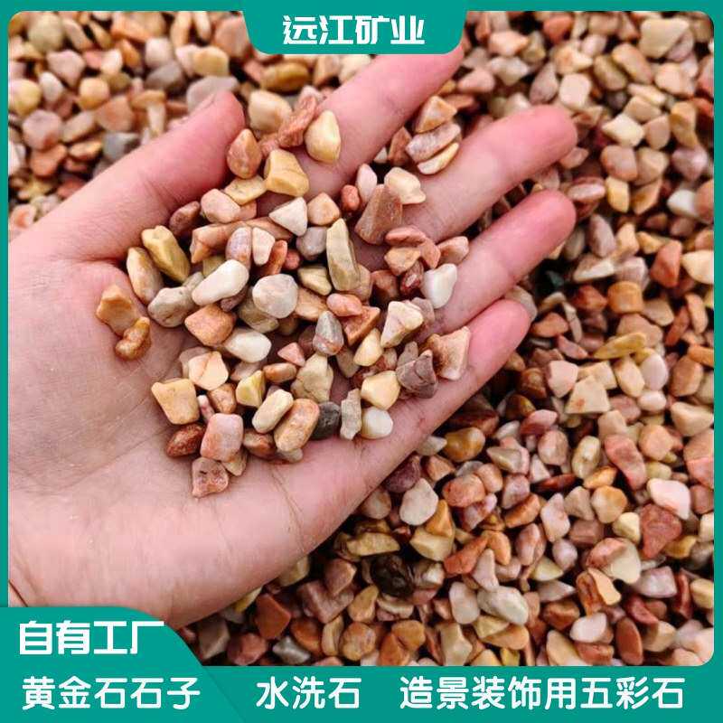 黄金石厂家黄色洗米石庭院造景水磨石黏胶石骨料铺路石彩色水洗石