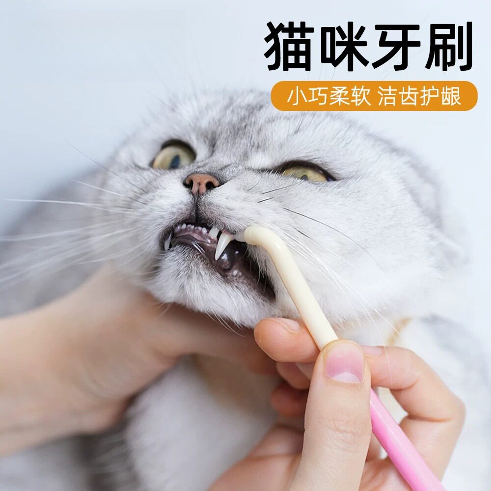 宠物牙刷猫咪专用小牙刷小型犬狗狗刷牙软毛小头小猫牙齿牙垢清洁